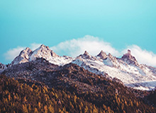 开云体育app安全下载-“手机致伤”，滑雪比赛为啥非得带手机？